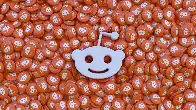 Reddit Threatens Subs to Go Public Again, or Else...