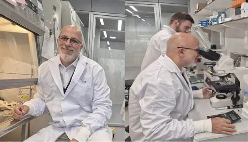 The Dangerous Effect of Tattoos on the Immune System - IRB USI