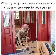 *your order is delivered*