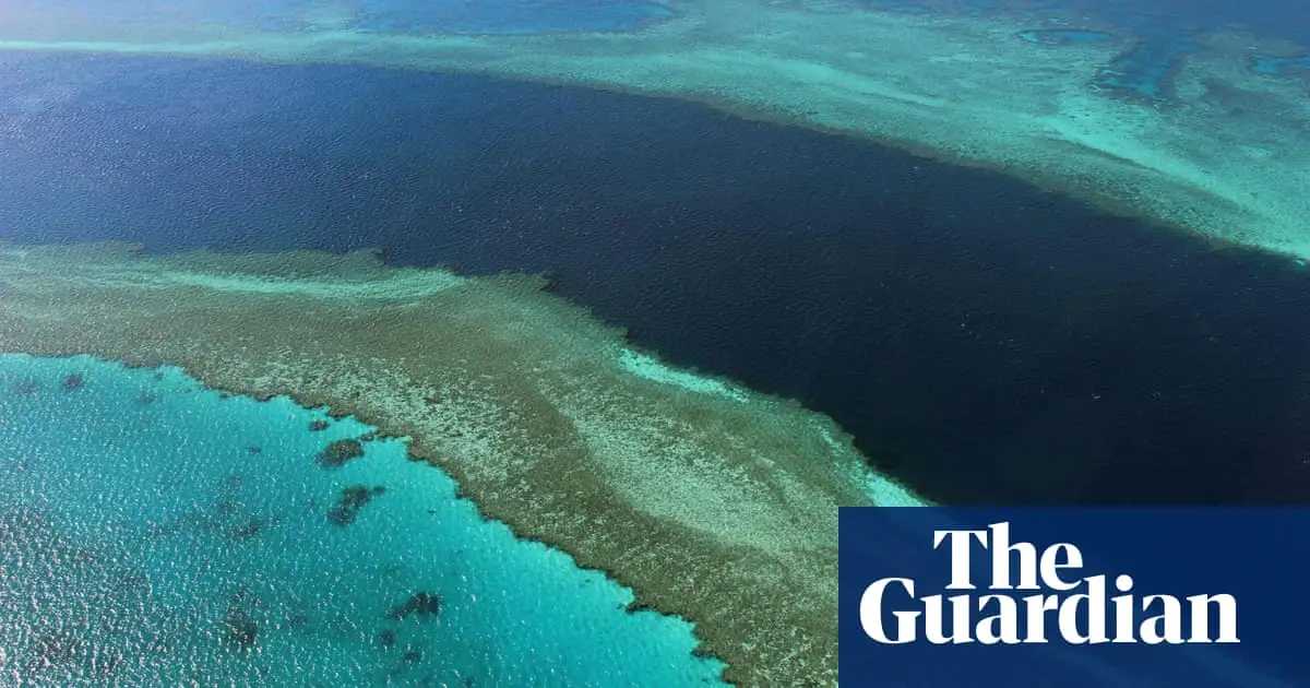 Marine heatwave off north-east Australia sets off alarm over health of Great Barrier Reef