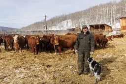 B.C. ranchers say fracking-induced earthquakes hurt cattle | The Narwhal