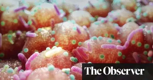 Antibiotic emergency ‘could claim 40 million lives in next 25 years’