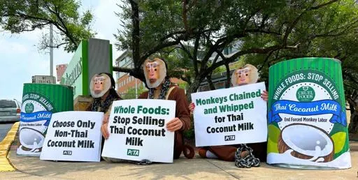 Whole Foods Coconut Milk Is Now Monkey Labor-Free, Thanks to PETA