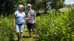 Native plants, lots of patience: How a Stearns County couple restored a damaged lakeshore