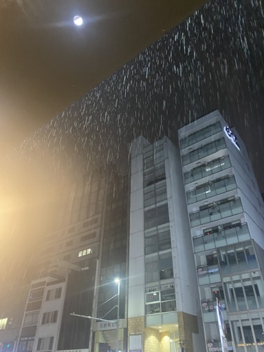 Rain falling in a japanese street, illuminated by streetlights