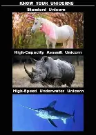 Unicorns rule