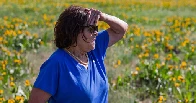 How One Woman Is Stalling Green Energy Projects in Oregon