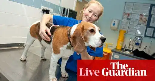 British vets could face price caps and ban on bonuses linked to pet treatments – business live