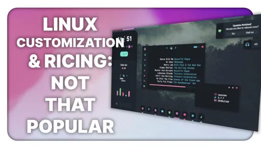 Linux users don't customize their systems all that much?!