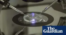 Technology for lab-grown eggs or sperm on brink of viability, UK fertility watchdog finds