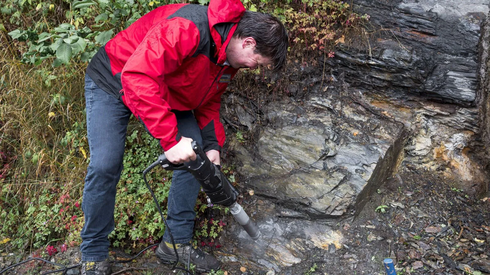 Erstes Massensterben der Erde: Spuren in Bayern entdeckt