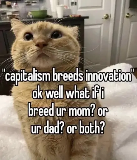 A picture of a cat looking up. Text says: "Capitalism breeds innovation" ok well what if i breed your mom? or ur dad? or both?