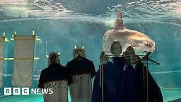 Japan: Aquarium sticks human photos on tank for 'lonely' sunfish