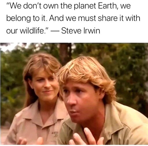 A photo of late pop biologist Steve Irwin.  The caption, quoting him, reads "We don't own the planet Earth, we belong to it.  And we must share it with our wildlife."