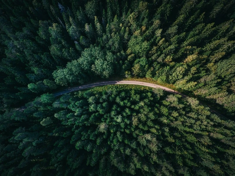 Wie schaut die deutsche Gesellschaft derzeit auf die Klimabewegung?