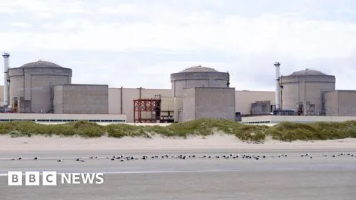 Jellyfish force French nuclear plant to shut down