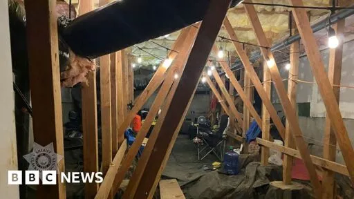'Strange noises' heard before squatter found in house with lights, TV and bed