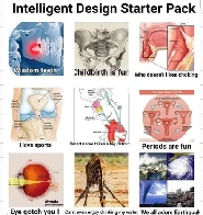 Intelligent Design