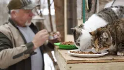 A stray inspired a Minnesota family to build a heated ‘cat condo’ — and livestream it