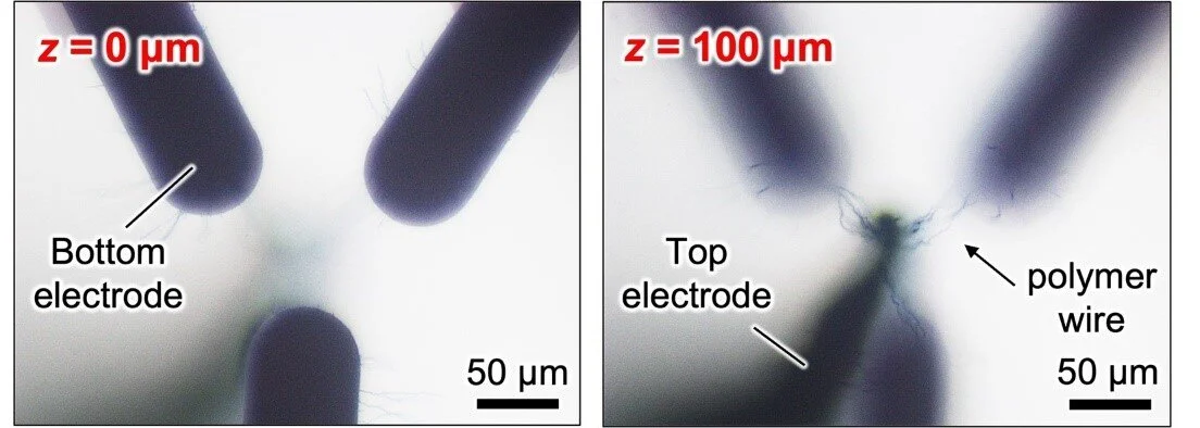 Researchers grow bio-inspired polymer brains for artificial neural networks