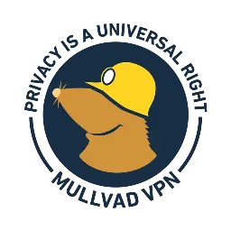 The report for the 2024 security audit of the app is now available | Mullvad VPN