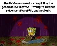 Nothing to See Here