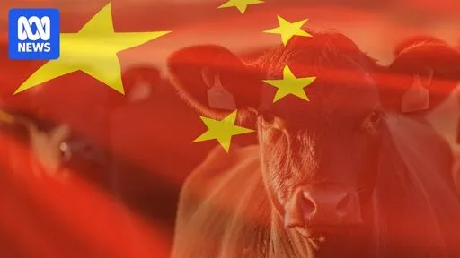 US meat trade days away from getting 'kicked out' of China