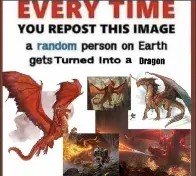 Dragon rule