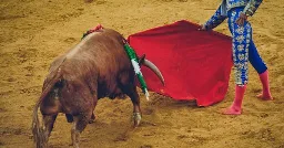 Eight Facts the Bullfighting Industry Does Not Want You to Know