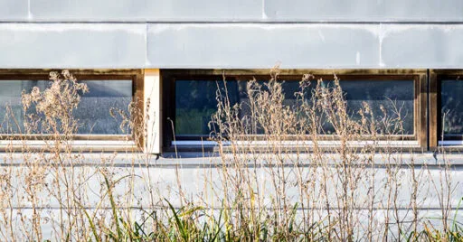 Fediverse Report – #146