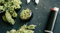 Growing and smoking weed at home legal from Friday in Luxembourg