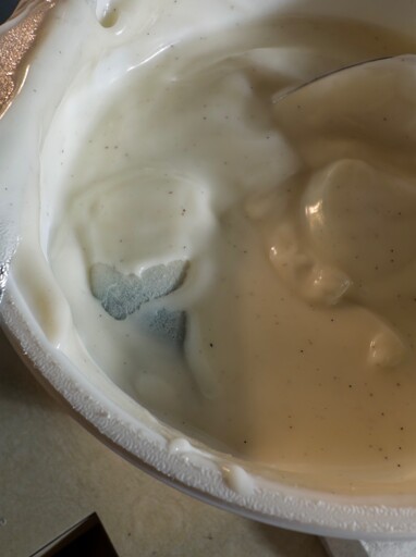 A close up of the inside of a large, full tub of yogurt. Some fuzzy white, blueish-green mold is visible. Looks like a chunk of bread, almost.