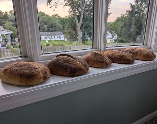 bread in the window 