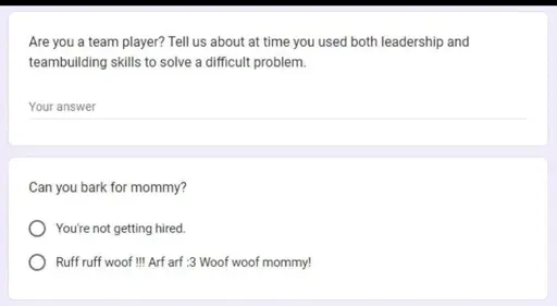 Online Job Interview. Question: "Are you a team player? Tell us about at time you used both leadership and teambuilding skills to solve a difficult problem" with a blank field. Question: "Can you bark for mommy?" Answer one: "You're not getting hired" Answer two: "Ruff ruff woof !!! Arf arf :3 Woof woof mommy!"