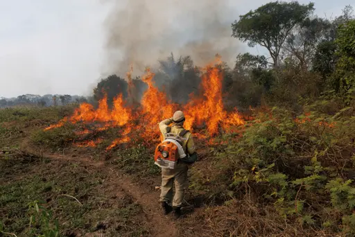 Air Pollution From Wildfires Kills 1.5 Million Annually | Earth.Org