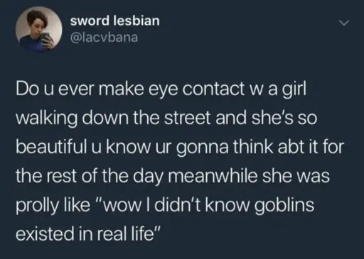 sword lesbian: Do u evern make eye contact w a girl walking down the street and she's so beautiful u know yr gonna think abt it for threst of the day meanwhile she was prolly like "wow I didn't know goblins eisted in real life"