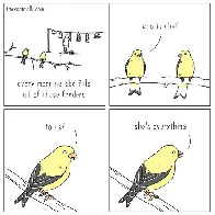 Everything