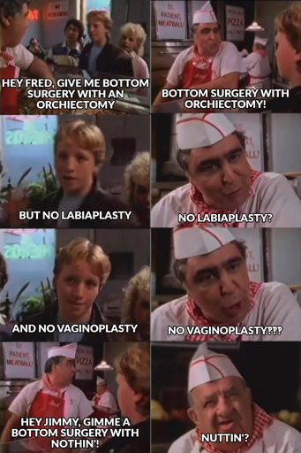 A kid walks into a pizza place and asks for bottom surgery. The cashier is at first happy to help, but then the kid asks for it without labiaplasty or vaginoplasty. The cashier is shocked and asks the cook for a "bottom surgery with nothin'". The cook is equally flabbergasted.