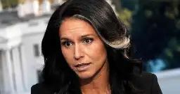 Tulsi Scrambles to Save Spy Job as Another Trump Pick Hits Trouble