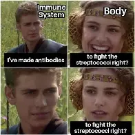 don't get too streptococci