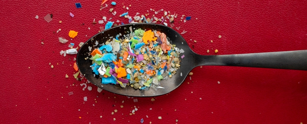 7,000 Microplastics Studies Show We Have One Really Big Problem