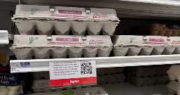 Egg prices are soaring again. Here’s why and what to expect