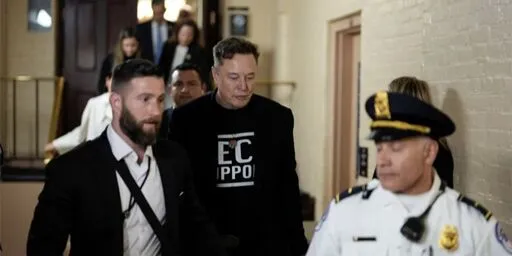 'Suddenly exposed' DOGE employees fear prosecution after Musk abandoned them: report