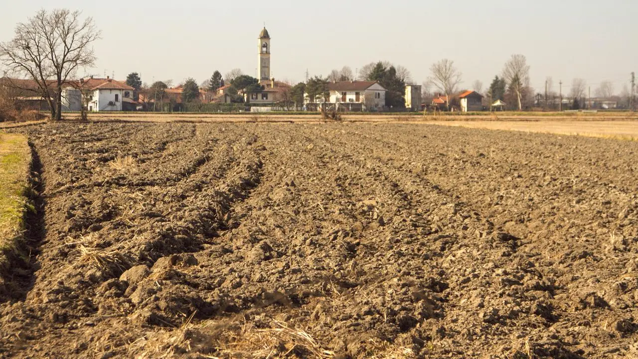 Risiko für gleichzeitige regionale Ernteausfälle gestiegen