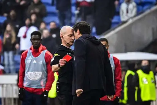 Lyon head coach receives nine-month ban for with referee