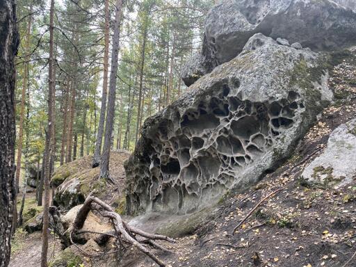 A strange rock formation found deep in the forest