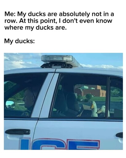 2meirl4irl