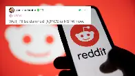 Reddit's API protest just got even more NSFW