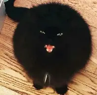 Spicy void