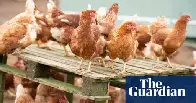 Bird flu virus shows mutations in first severe human infection in US, CDC says